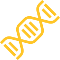 항원 DNA Vector 수령