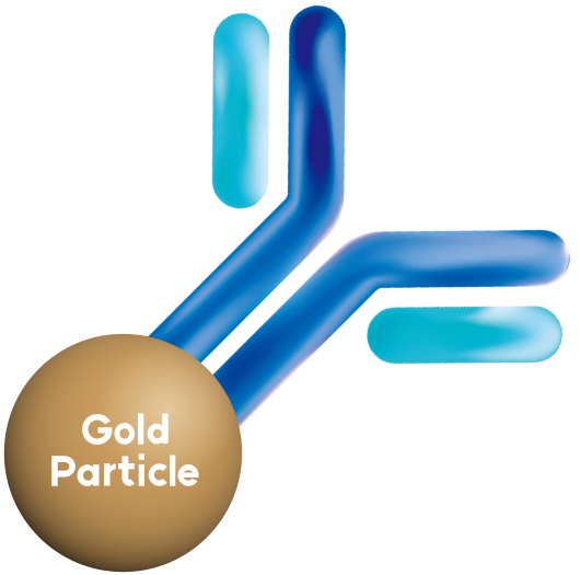 Gold Particle Conjugation Service